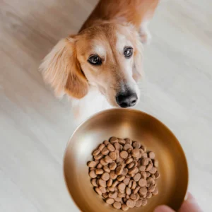 District 70 hondenvoerbak, rvs